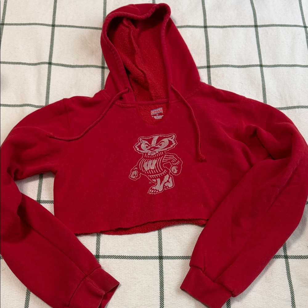 Wisconsin Badgers Soffe Red Graphic Cropped Hoodie